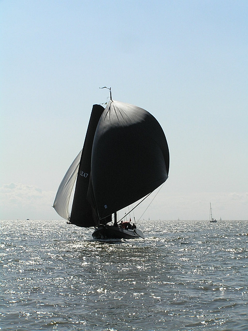 Lemsteraak_Ahoy2008 (213).jpg